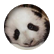 bumblybear