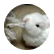 bunneh328