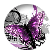 butterfly43