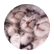 catgirl5040