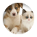 catlover22