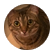 cbaro