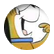 cdspring