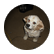 chattycathy
