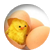 chiken
