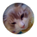 chloefuzz8