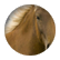 cslosman123