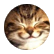 cutiecaty