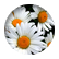 daisies