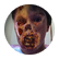 dbodeytigs
