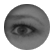 desmic