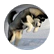 doggygirl450