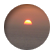 dolphin5