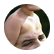 donna006
