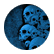 dragonslayervc