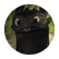 dragonsrcool