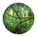 earthlover8