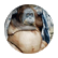 edde123