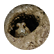 eddiehussamybird12