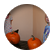 edenlily22