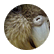 ehutchinson