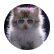 elh01