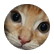 ellafant