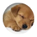 elly549