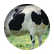 emmaheikkinen