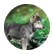 epuppy