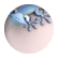 feebiebubble