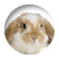 flopsy1