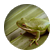 froggal123