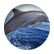 gabrielledolphin