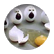 ghoshaylynn