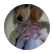 goldenretrieverlover