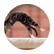 grgymnast