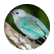 haleykr
