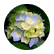 halo123456