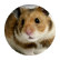 hfreitas
