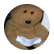 hgher