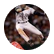 homerun9
