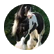 horselover101
