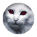 hungergameswarrior