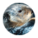 iheartpenguins