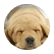 ilikebloo
