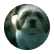 imommy2
