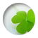 irishwriting