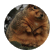 isquirrel21