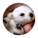iswatson